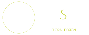Logo Moments Subtils